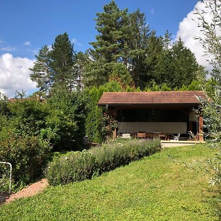 Maison/Gite Familial Dans Le Jura A 200M Du Lac Avec Piscine Privee Marigny  Экстерьер фото