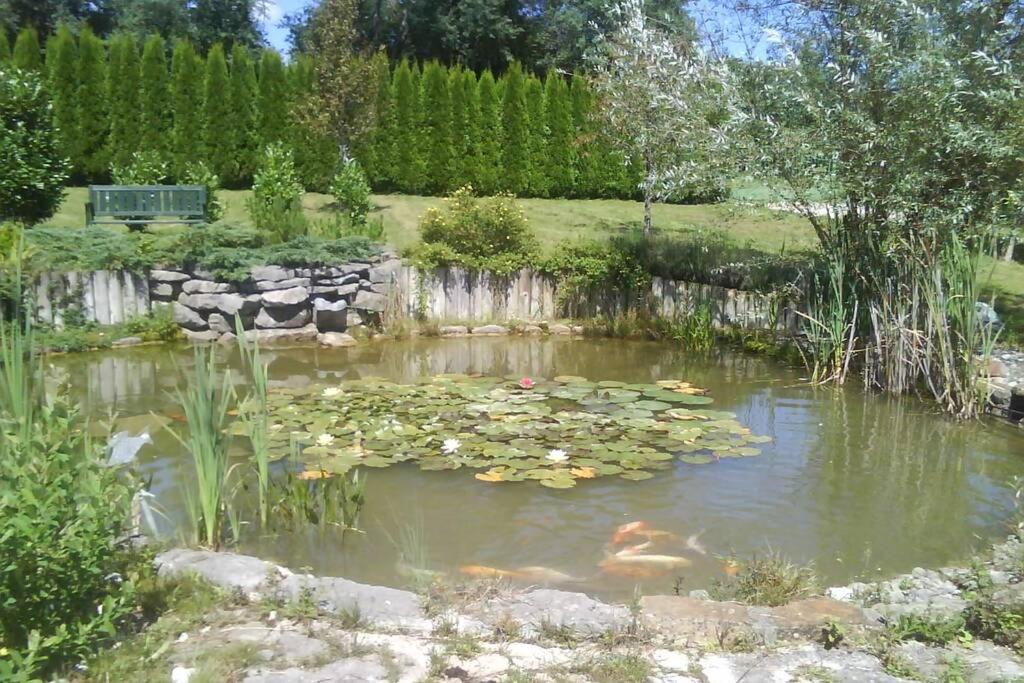 Maison/Gite Familial Dans Le Jura A 200M Du Lac Avec Piscine Privee Marigny  Экстерьер фото