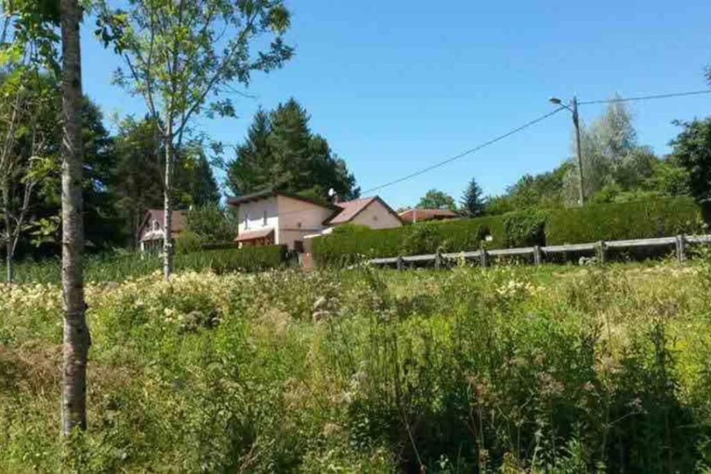 Maison/Gite Familial Dans Le Jura A 200M Du Lac Avec Piscine Privee Marigny  Экстерьер фото